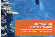 Cover of 'The Water of Systems Change' report by John Kania, Mark Kramer, and Peter Senge, published June 2018. Features an underwater coral reef scene with fish swimming, overlaid with an orange text box containing the title and authors' names.